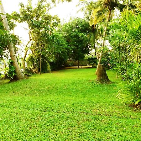 Hotel Ocean View Bentota Exteriér fotografie