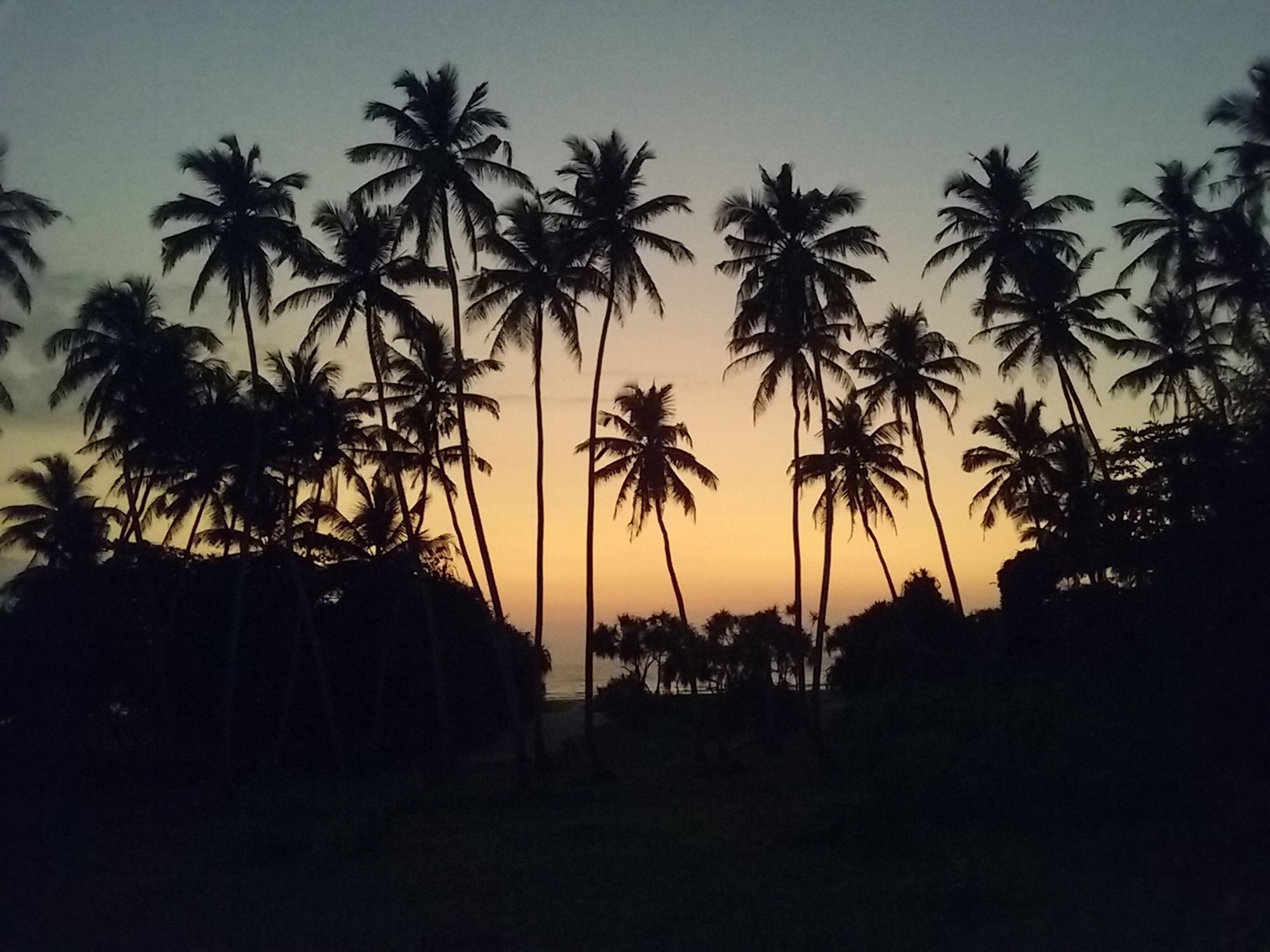 Hotel Ocean View Bentota Exteriér fotografie