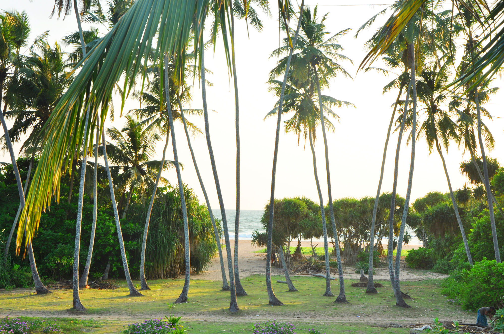 Hotel Ocean View Bentota Exteriér fotografie